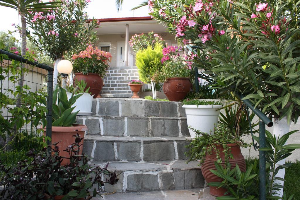 Pagona House Apartment